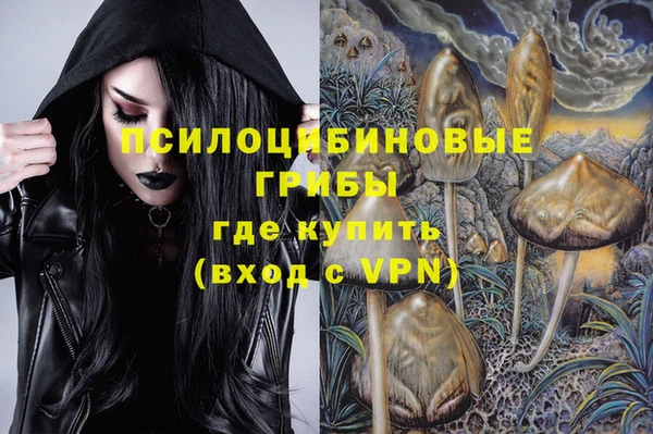 гидропоника Дрезна