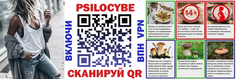 Псилоцибиновые грибы Psilocybine cubensis  Купить где  Алушта 