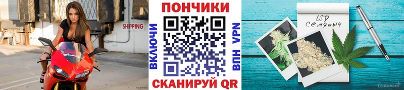 Бошки марихуана MAZAR  Купить где  Алушта 